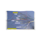 Smart Key Test Cable Assembly For Motorcycles H-onda Y-AMAHA S-UZUKI Keyless all key lost work with Smarttool eco and smarttool 2 autoshopvn